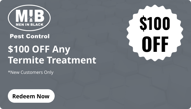 Termite Treatment